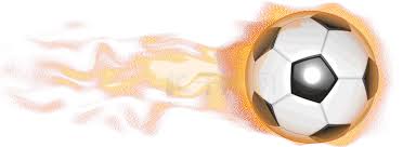 开云网页版 - 开云中国官方网站 - KAIYUN OFFICIAL