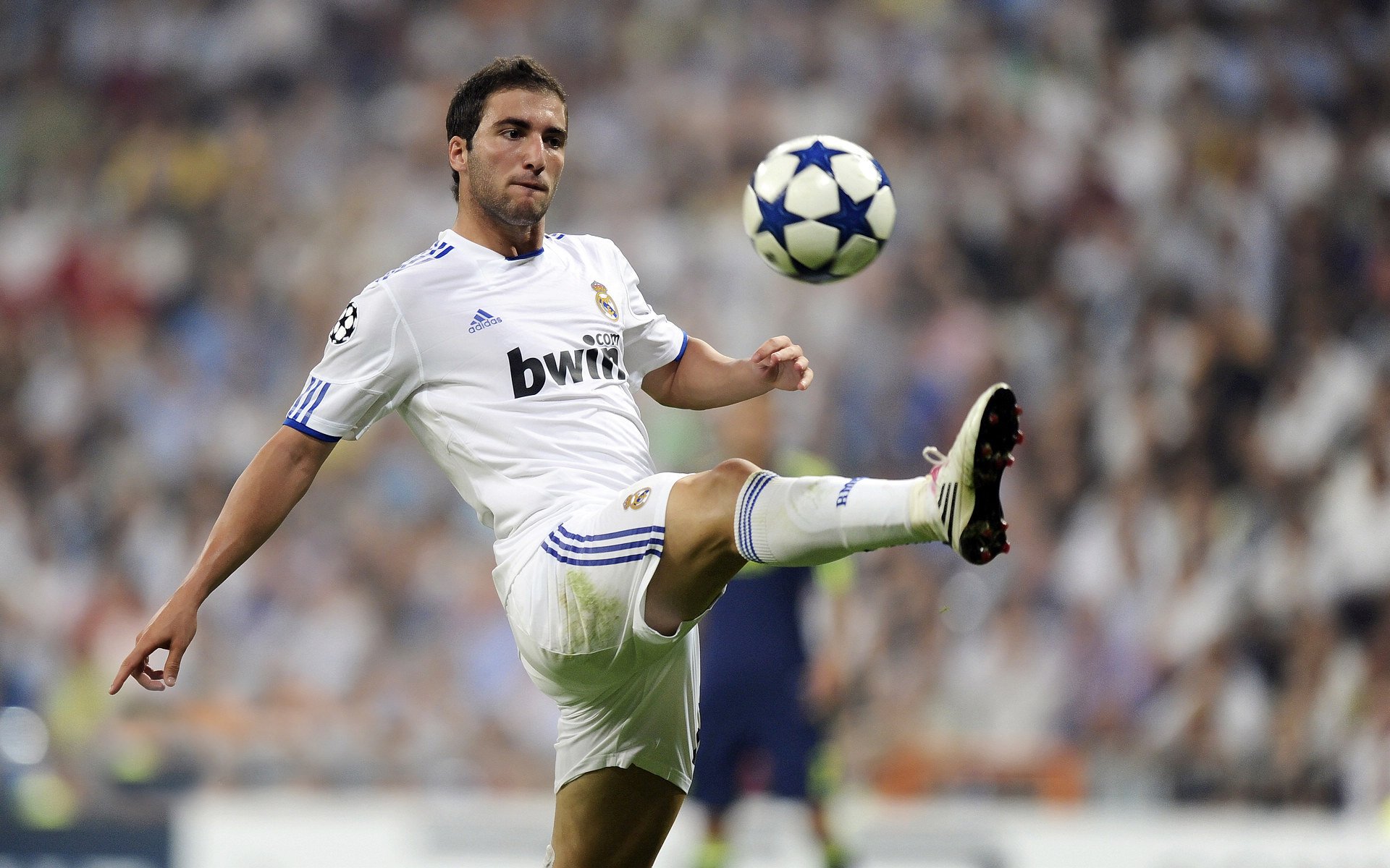 _全场欢呼:运动员激烈拼搏赢得满堂彩_,运动员在赛场上奋力拼搏终于夺得桂冠